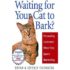Waiting For Your Cat To Bark