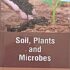 soil plant microbes